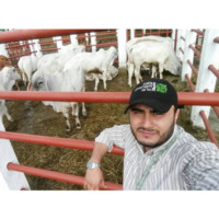 Nestor Felipe Junior Acosta Moreno