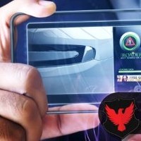 BFWD Branding For World Domination