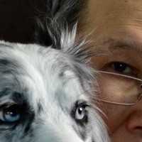 mitsu ikemura
