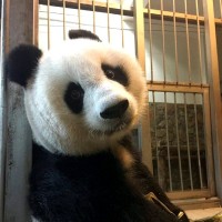 查章帝