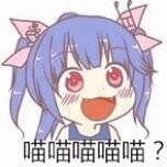 张景彦