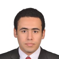 Mahmoud Farag Emara
