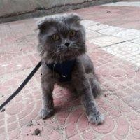 刘春超