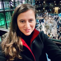 Gislaine N. S. Costa