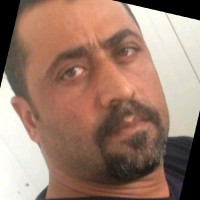 Ali Mahmoud