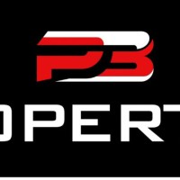 P3 Properties