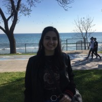 İrem Avcı