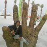 Mohammed Saleem