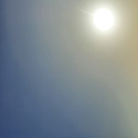 محمد الثنيان