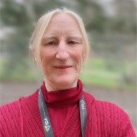 Tracy Hart