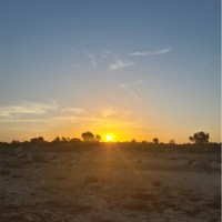 Saeed سعيد Al Sharid الشارد