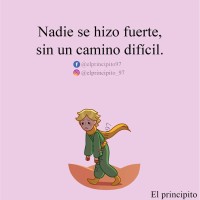 Maria Cristina Diaz Torres