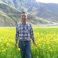 李治献