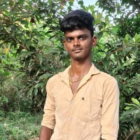 Tamizharasan V