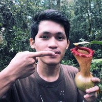 Daryl Salas
