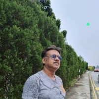 Parthasarathi Ray