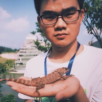 Yanwei Qi
