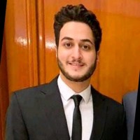 Amr Gamal Abd Elaziz