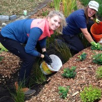 Caitlin Pierzchalski