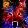 Wolfer Team