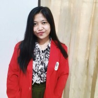 Novi Lestari