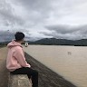 Văn Quý Hoàng