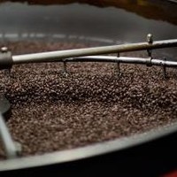 Fonte Coffee