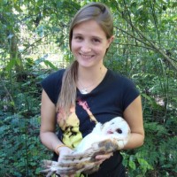 Stephanie Gobert Pitt