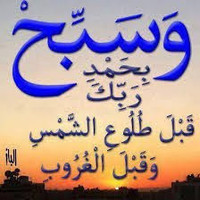طه كامل