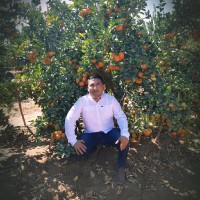 Miguel angel Ccari Guerra