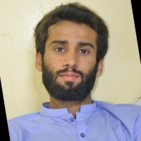 Muhammad Noman Fareed