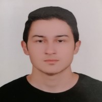Mert Gazi Taşkıran