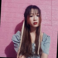 Phan Việt Anh