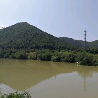jianping xiong