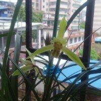 胡庆林