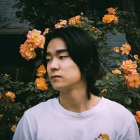 Peiheng Li