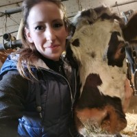 Stephanie Burkhalter