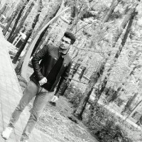 Meysam Oz