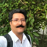 Reza Heidari