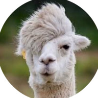 Lama Daila