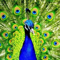 ایستگاه حکمت