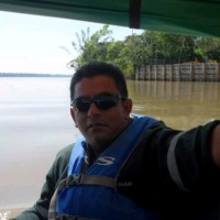 Alex Pallo