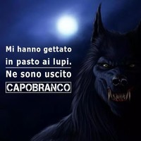 Roberto Castrigato