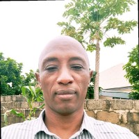 Adeyemi Ajayi  (MNIA)