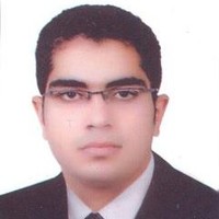 Mohamed Amer