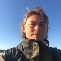 Ingelise Villumsen