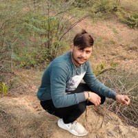 Vikash Kumar Vikash Kumar