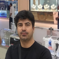 Mahmut Baran