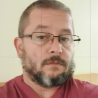 gheorghe ananie ivan