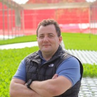 Francisco Franceschi